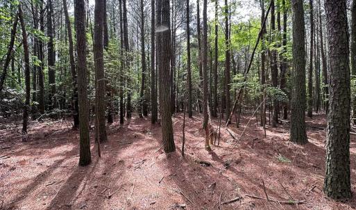 Photo #11 of SOLD property in Lot 2 - Off Kegotank Rd, Nelsonia, VA 1.8 acres