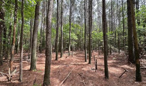 Photo #12 of SOLD property in Lot 2 - Off Kegotank Rd, Nelsonia, VA 1.8 acres