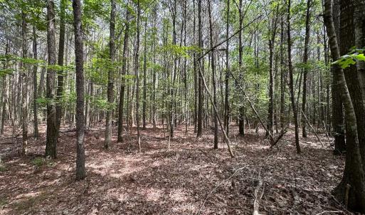 Photo #13 of SOLD property in Lot 2 - Off Kegotank Rd, Nelsonia, VA 1.8 acres
