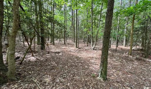 Photo #14 of SOLD property in Lot 2 - Off Kegotank Rd, Nelsonia, VA 1.8 acres