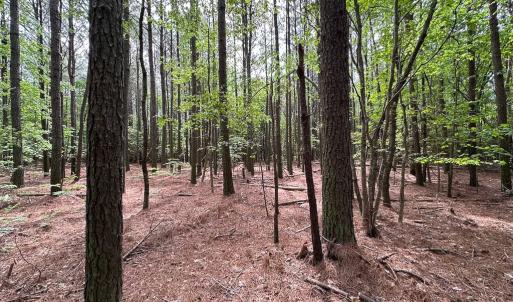 Photo #9 of SOLD property in Lot 3 - Off Kegotank Rd, Nelsonia, VA 2.0 acres