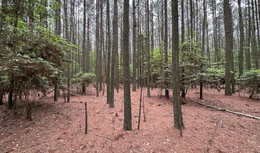 Photo #15 of SOLD property in Lot 3 - Off Kegotank Rd, Nelsonia, VA 2.0 acres