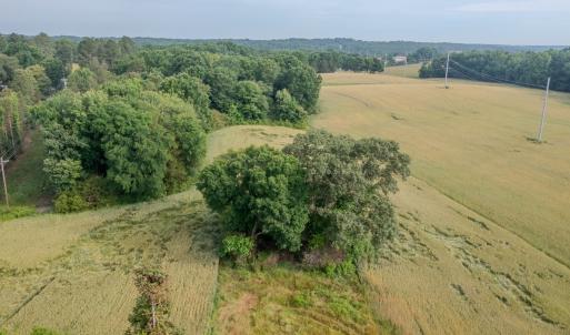 Photo #15 of SOLD property in 12987 Mission Church Road, Locust, NC 65.5 acres