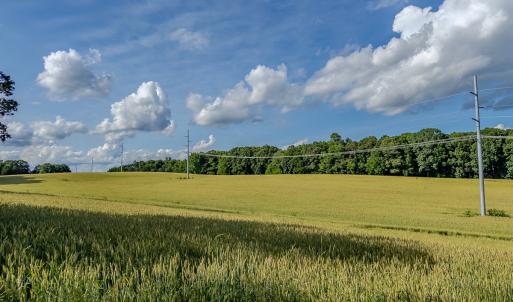Photo #17 of SOLD property in 12987 Mission Church Road, Locust, NC 65.5 acres