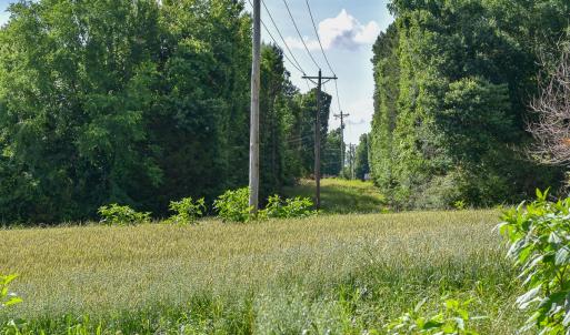 Photo #18 of SOLD property in 12987 Mission Church Road, Locust, NC 65.5 acres