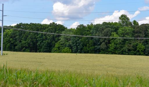 Photo #20 of SOLD property in 12987 Mission Church Road, Locust, NC 65.5 acres