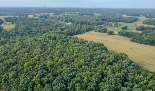 Photo #5 of SOLD property in 12987 Mission Church Road, Locust, NC 65.5 acres