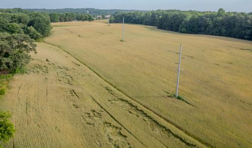Photo #7 of SOLD property in 12987 Mission Church Road, Locust, NC 65.5 acres