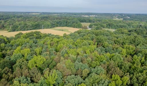 Photo #10 of SOLD property in 12987 Mission Church Road, Locust, NC 65.5 acres
