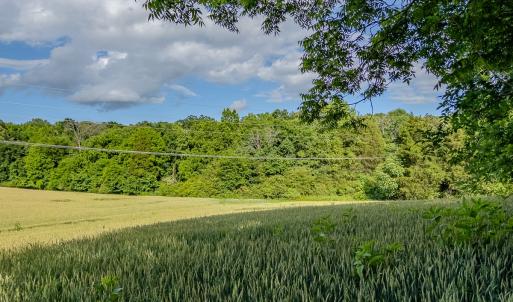 Photo #22 of SOLD property in 12987 Mission Church Road, Locust, NC 65.5 acres