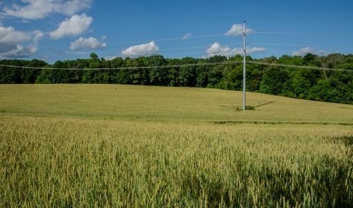 Photo #25 of SOLD property in 12987 Mission Church Road, Locust, NC 65.5 acres