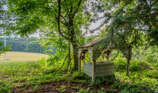 Photo #28 of SOLD property in 12987 Mission Church Road, Locust, NC 65.5 acres