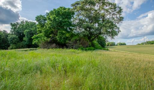 Photo #29 of SOLD property in 12987 Mission Church Road, Locust, NC 65.5 acres