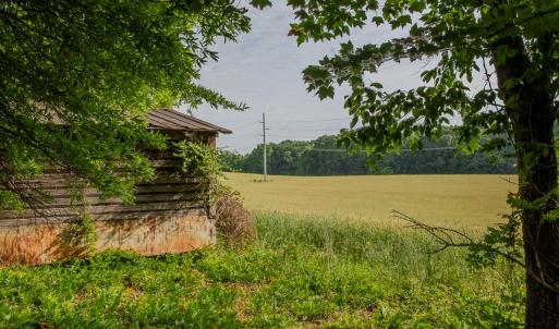 Photo #30 of SOLD property in 12987 Mission Church Road, Locust, NC 65.5 acres
