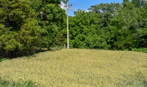 Photo #38 of SOLD property in 12987 Mission Church Road, Locust, NC 65.5 acres