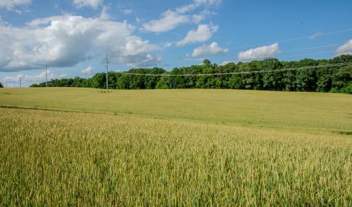 Photo #41 of SOLD property in 12987 Mission Church Road, Locust, NC 65.5 acres