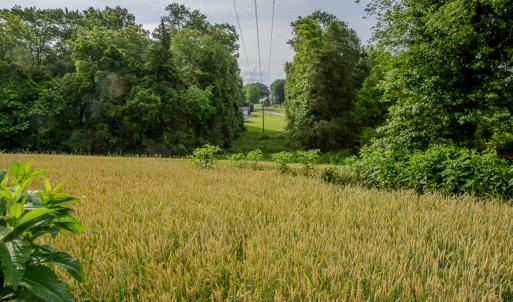 Photo #42 of SOLD property in 12987 Mission Church Road, Locust, NC 65.5 acres