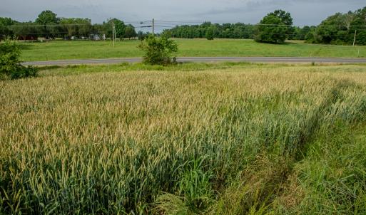 Photo #43 of SOLD property in 12987 Mission Church Road, Locust, NC 65.5 acres