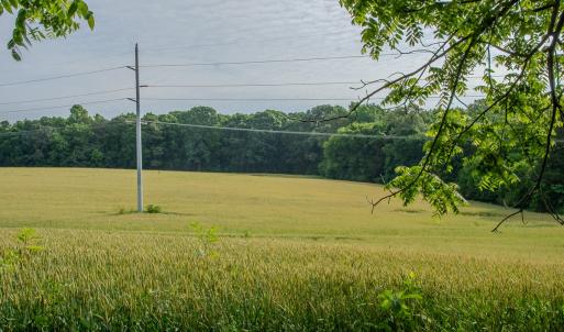 Photo #45 of SOLD property in 12987 Mission Church Road, Locust, NC 65.5 acres