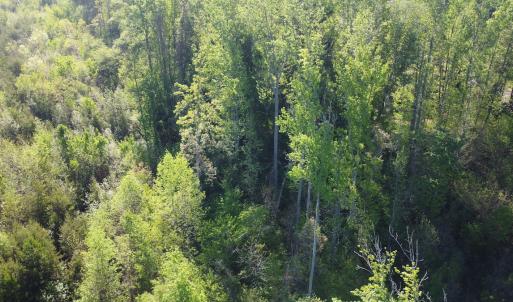 Photo #6 of Off Vista Lindo Ct, Winston Salem, NC 0.5 acres