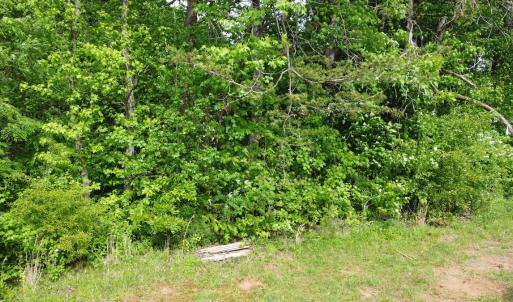 Photo #13 of Off Vista Lindo Ct, Winston Salem, NC 0.5 acres