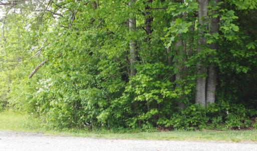 Photo #14 of Off Vista Lindo Ct, Winston Salem, NC 0.5 acres