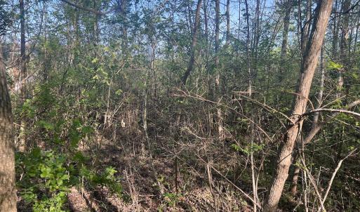 Photo #15 of Off Vista Lindo Ct, Winston Salem, NC 0.5 acres