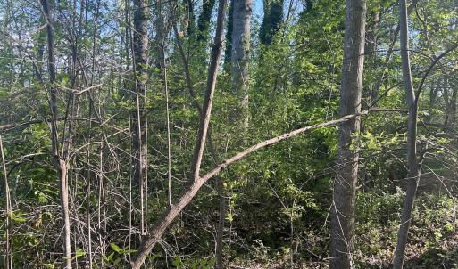 Photo #16 of Off Vista Lindo Ct, Winston Salem, NC 0.5 acres