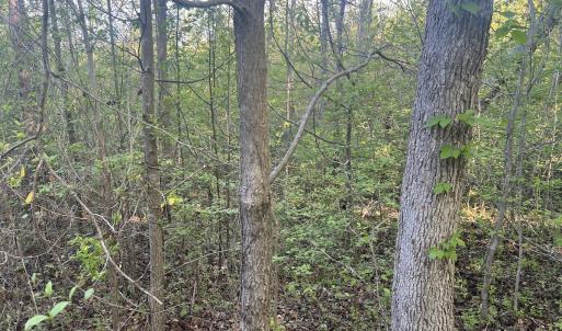 Photo #17 of Off Vista Lindo Ct, Winston Salem, NC 0.5 acres