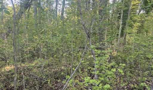 Photo #18 of Off Vista Lindo Ct, Winston Salem, NC 0.5 acres