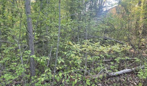 Photo #19 of Off Vista Lindo Ct, Winston Salem, NC 0.5 acres