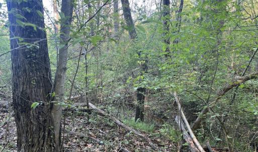 Photo #20 of Off Vista Lindo Ct, Winston Salem, NC 0.5 acres