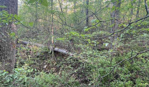 Photo #21 of Off Vista Lindo Ct, Winston Salem, NC 0.5 acres