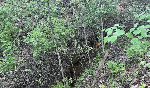 Photo #22 of Off Vista Lindo Ct, Winston Salem, NC 0.5 acres