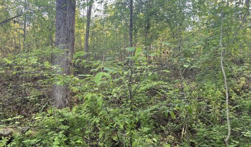 Photo #23 of Off Vista Lindo Ct, Winston Salem, NC 0.5 acres