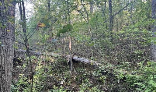 Photo #24 of Off Vista Lindo Ct, Winston Salem, NC 0.5 acres