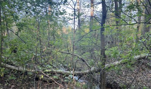 Photo #25 of Off Vista Lindo Ct, Winston Salem, NC 0.5 acres