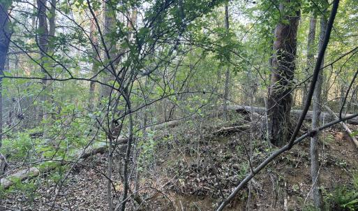 Photo #26 of Off Vista Lindo Ct, Winston Salem, NC 0.5 acres