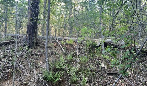 Photo #27 of Off Vista Lindo Ct, Winston Salem, NC 0.5 acres
