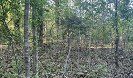 Photo #28 of Off Vista Lindo Ct, Winston Salem, NC 0.5 acres