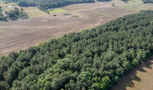 Photo #14 of 10010 Roundtree Road, Mt. Pleasant, NC 61.4 acres
