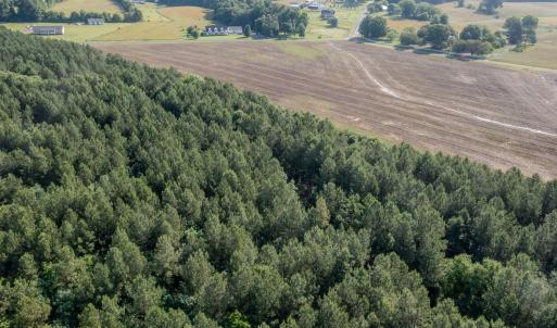 Photo #18 of 10010 Roundtree Road, Mt. Pleasant, NC 61.4 acres