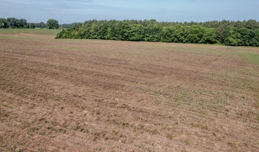 Photo #19 of 10010 Roundtree Road, Mt. Pleasant, NC 61.4 acres