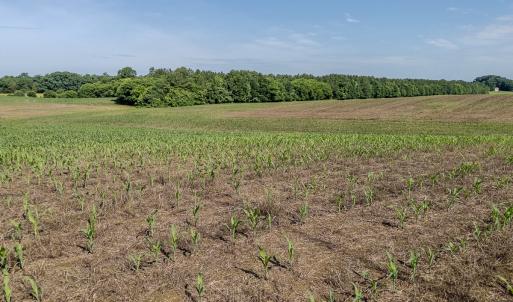 Photo #2 of 10010 Roundtree Road, Mt. Pleasant, NC 61.4 acres