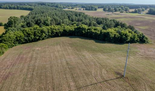 Photo #3 of 10010 Roundtree Road, Mt. Pleasant, NC 61.4 acres
