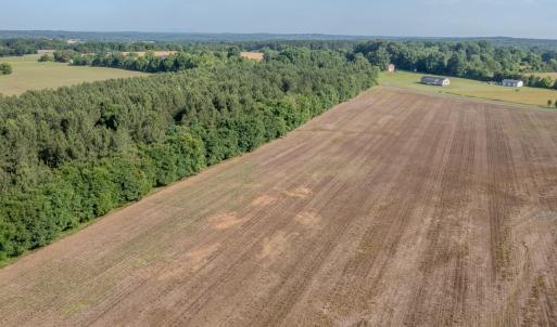 Photo #5 of 10010 Roundtree Road, Mt. Pleasant, NC 61.4 acres