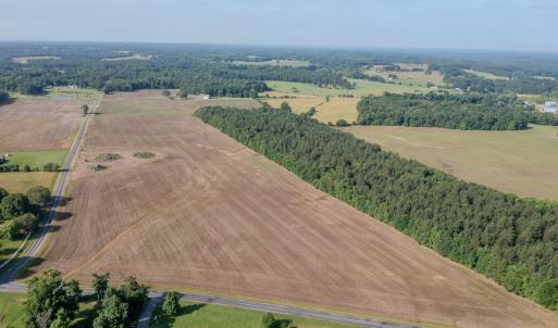 Photo #6 of 10010 Roundtree Road, Mt. Pleasant, NC 61.4 acres