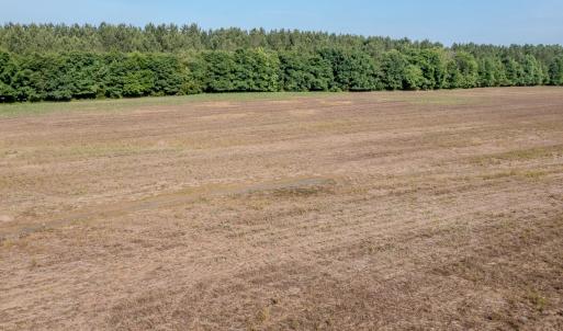 Photo #20 of 10010 Roundtree Road, Mt. Pleasant, NC 61.4 acres