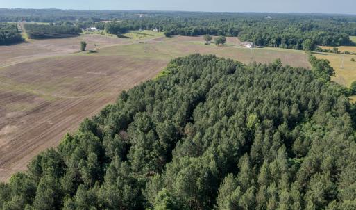 Photo #21 of 10010 Roundtree Road, Mt. Pleasant, NC 61.4 acres