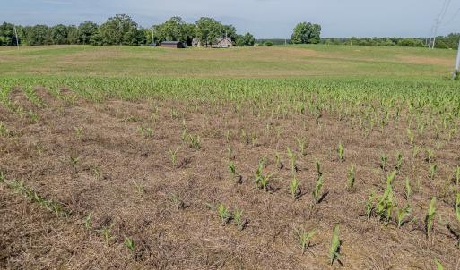 Photo #28 of 10010 Roundtree Road, Mt. Pleasant, NC 61.4 acres
